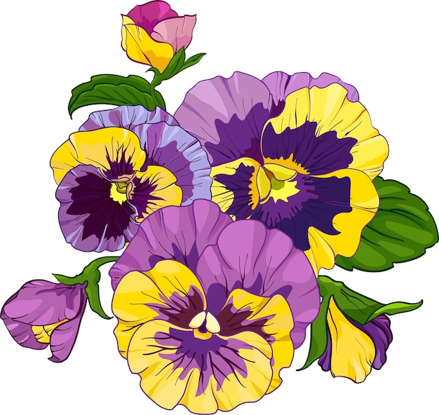 Vector arreglo floral de pensamientos