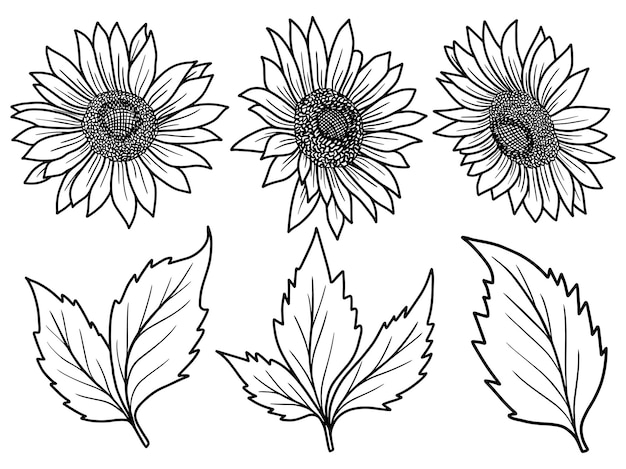 Vector arreglo de flores con arte lineal dibujado a mano