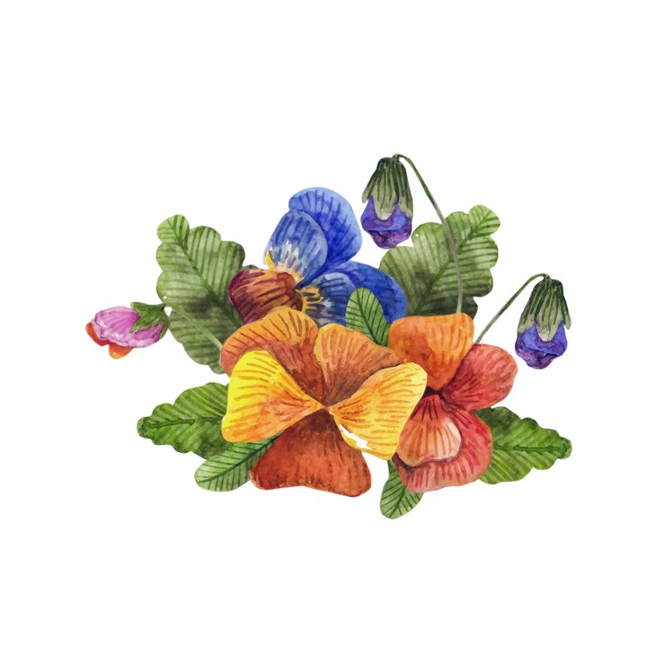 Vector arreglo de flores de pensamiento. ilustración dibujada a mano