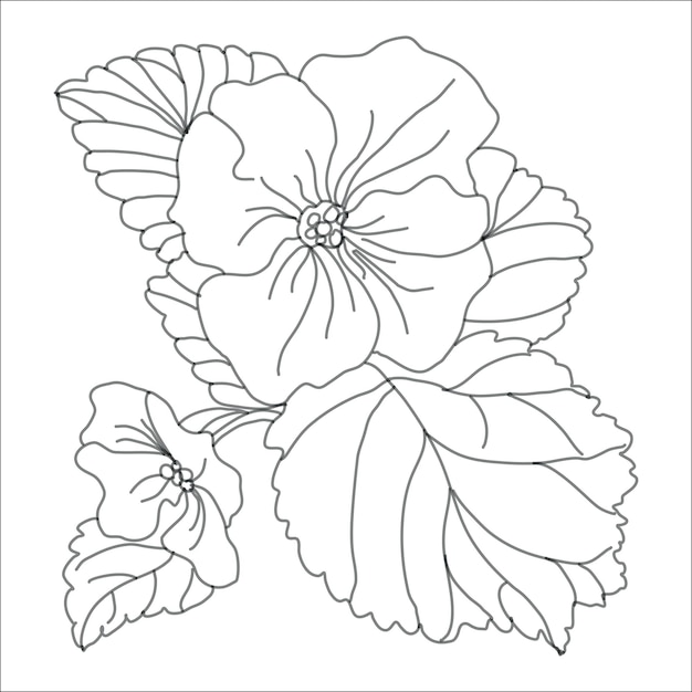 Arreglo de flores de prímula lineart