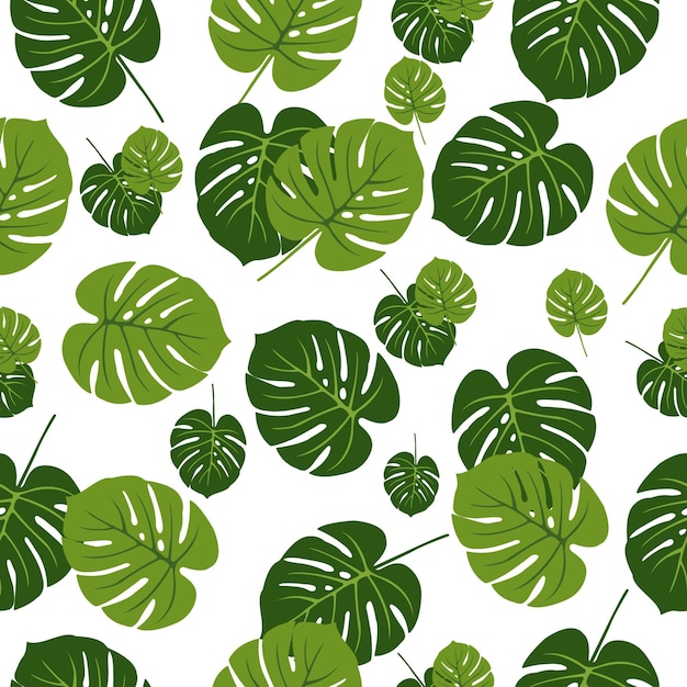 Arreglo de hojas de monstera tropical para volante