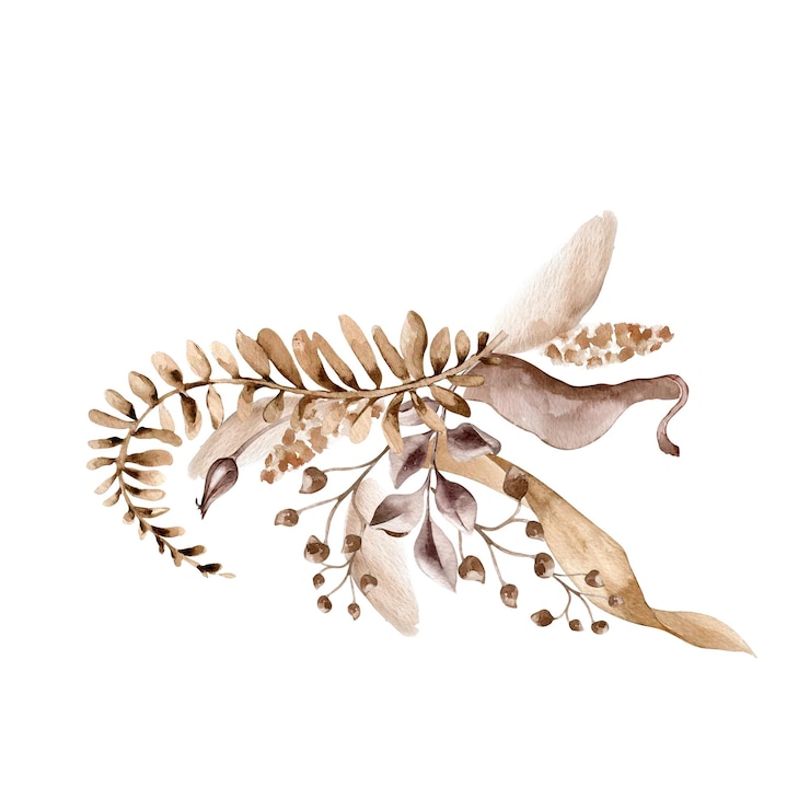 Vector arreglo monocromático de hierbas secas de ramas de palma en acuarela de color marrón plantas abstractas en color sienna aisladas hojas de fantasía dibujadas a mano diseño de invitaciones de marca productos impresos boda