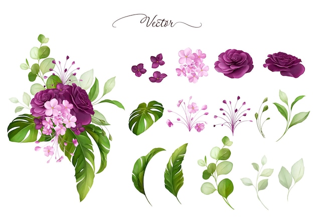 Arreglos de acuarela y elementos individuales de rosas moradas