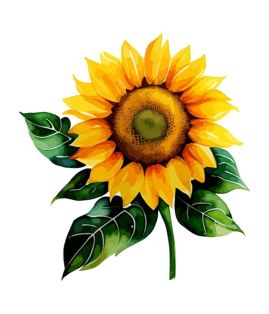 Arreglos florales de acuarela con hermosos girasoles Rubius de flores de girasoles en acuarela