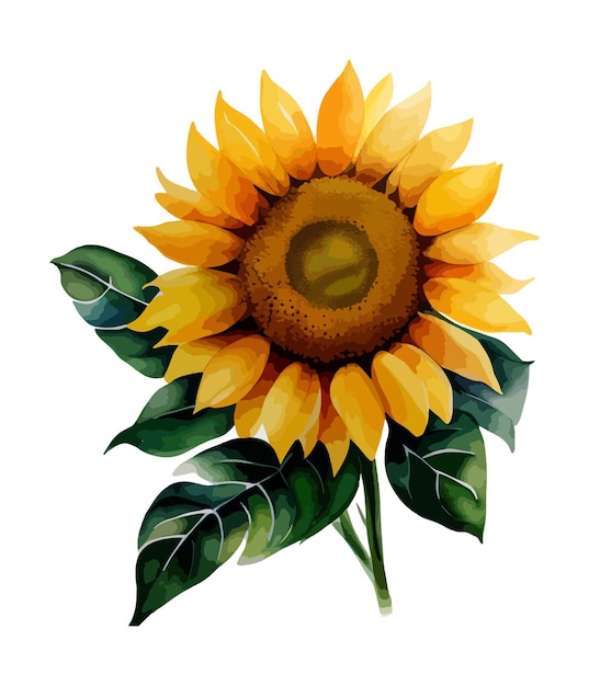 Arreglos florales de acuarela con hermosos girasoles Rubius de flores de girasoles en acuarela