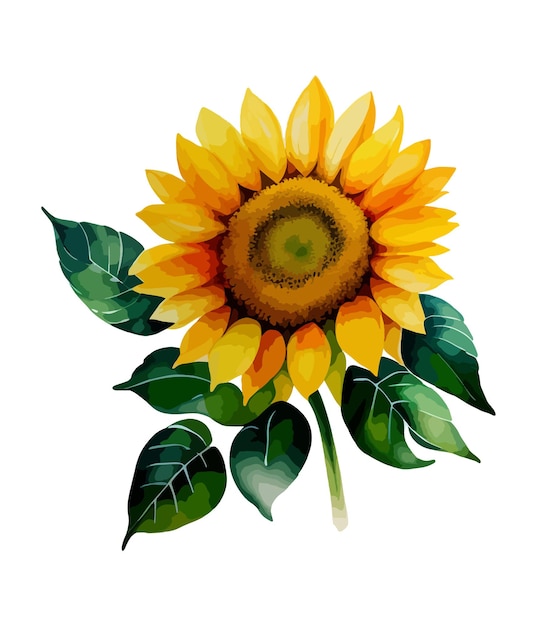 Arreglos florales de acuarela con hermosos girasoles Rubius de flores de girasoles en acuarela