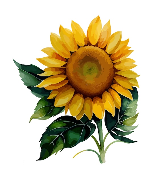 Arreglos florales de acuarela con hermosos girasoles Rubius de flores de girasoles en acuarela