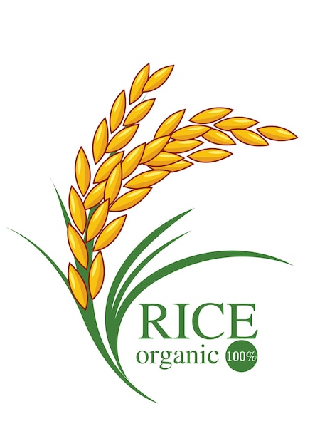 el arroz 0