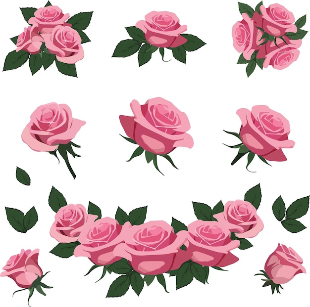 Art Illusset elementos de rosas rosadas con hojas verdes