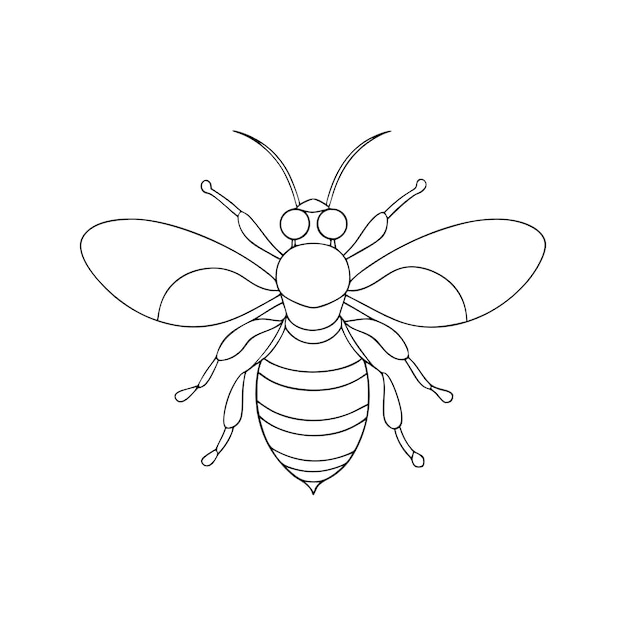arte de abeja de miel en una sola línea para un libro para colorear