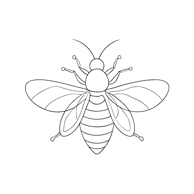 arte de abeja de miel en una sola línea para un libro para colorear