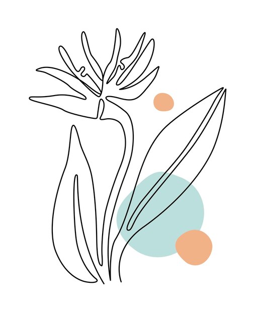 Arte abstracto de una línea flor tropical Dibujo de contorno de srtelitzia Dibujo elegante de líneas continuas