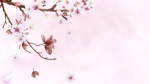 Arte de acuarela de rama de flor de cerezo y flor de sakura rosa sobre fondo de manchas