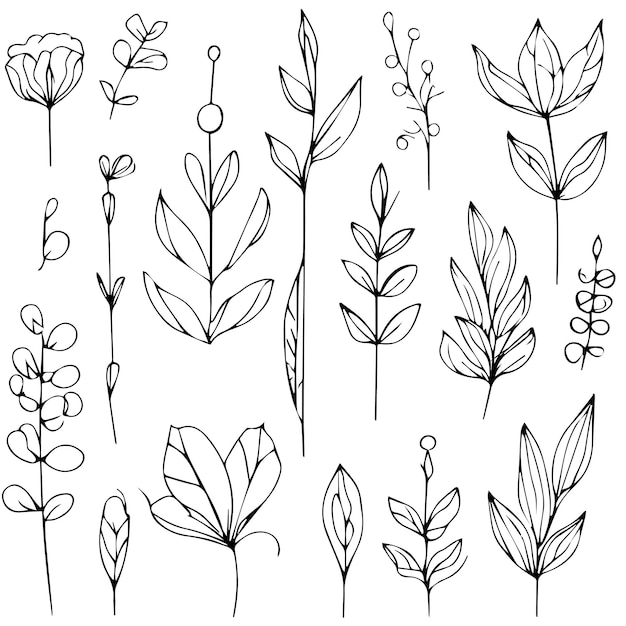 Arte botánico decoración vector conjunto de hoja botánica simple esquema bosquejo doodle planeta línea arte