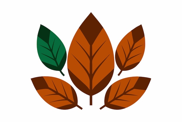 Arte de color de la hoja de hickory Ilustración botánica detallada para interiores