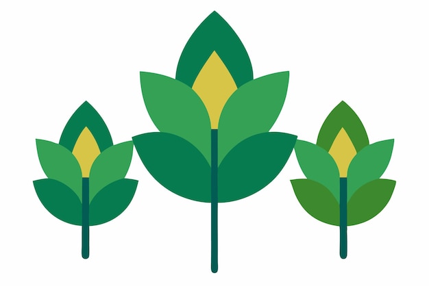 Arte de color de la hoja del tulipán Ilustración botánica detallada de hojas únicas