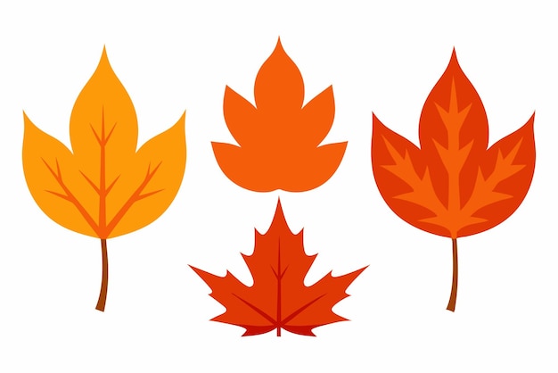 Arte de color de las hojas de Autumn Blaze Capturando la esencia de Autumn blaze