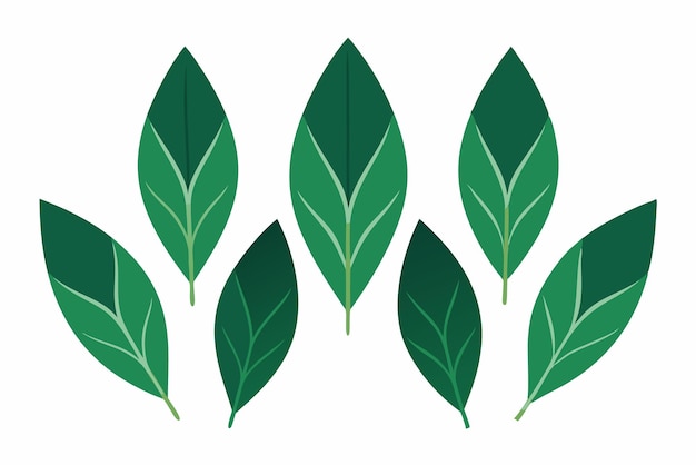 El arte del color de las hojas de oleandra muestra la serenidad de los tonos verdes de las hoja