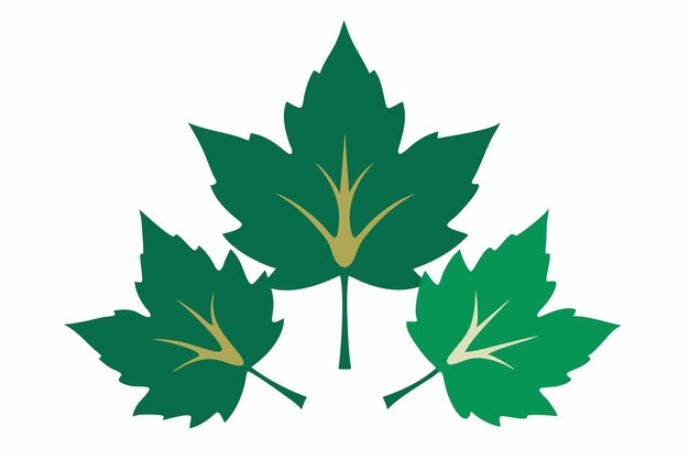 El arte de los colores de las hojas de sicómoro capta la intricadez del diseño de la hoja