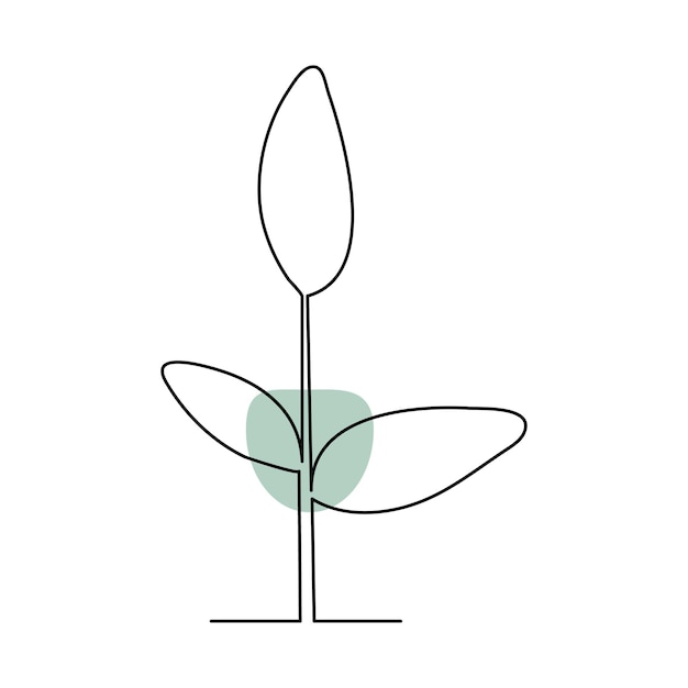 Arte continuo de una sola línea de la planta Vector de dibujo en línea de la planta y ilustración