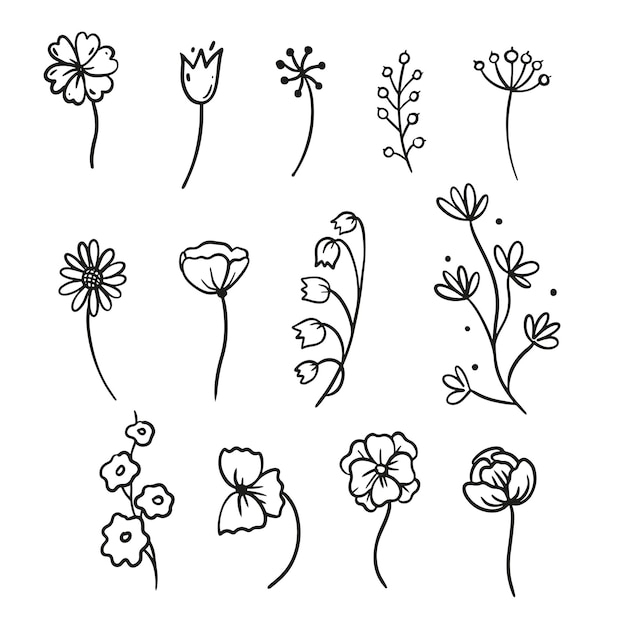 Arte gráfico de líneas flores Contorno de elementos florales abstractos elementos en blanco y negro