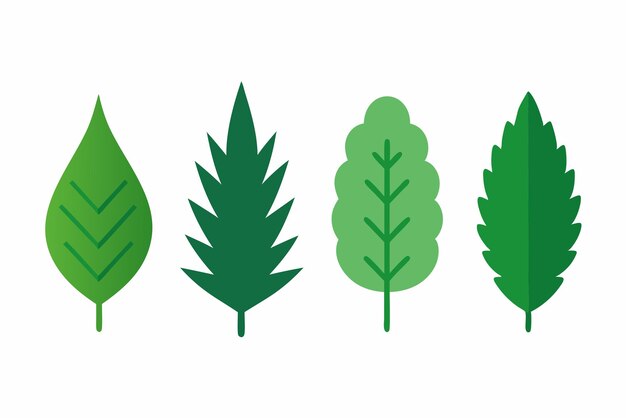 El arte de la hoja de abeto es perfecto para la decoración del hogar inspirada en la naturaleza