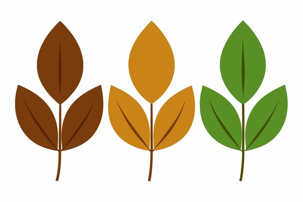 El arte de la hoja del árbol de café de Kentucky Diseño realista de la hoja con tonos naturales