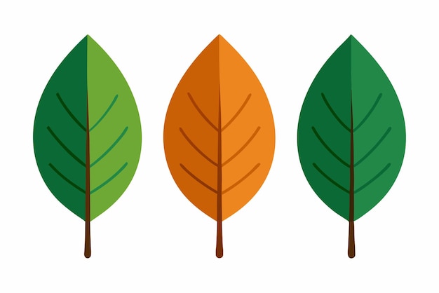 Arte de la hoja de teca de color inspirado en la naturaleza Obra de arte de hojas de teca clásicas