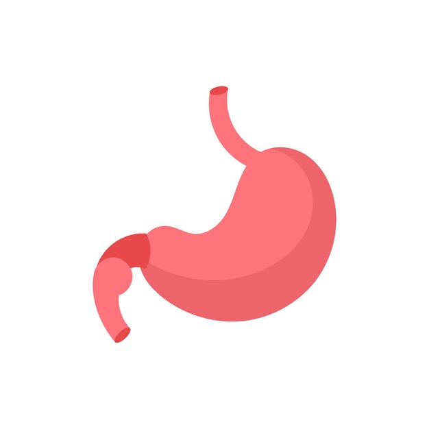 Arte Ilustración Diseño Concepto Anatomía Cuerpo Humano Símbolo Icono Logotipo Realista Del Estómago