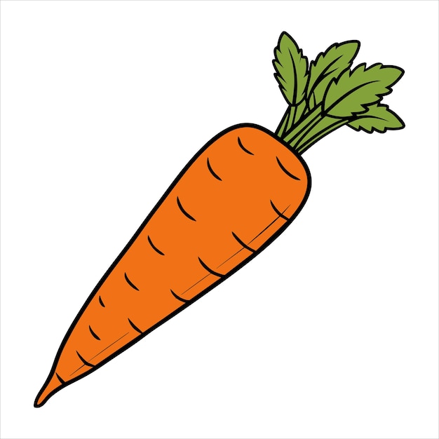 Arte y ilustración vectorial de zanahorias