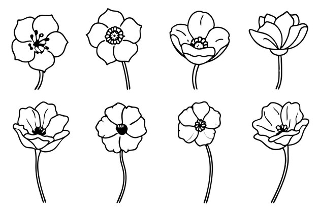 Arte de la línea de amapola