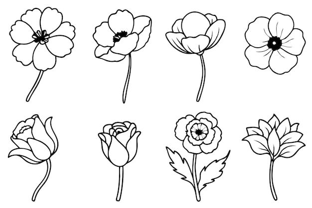 Arte de la línea de amapola