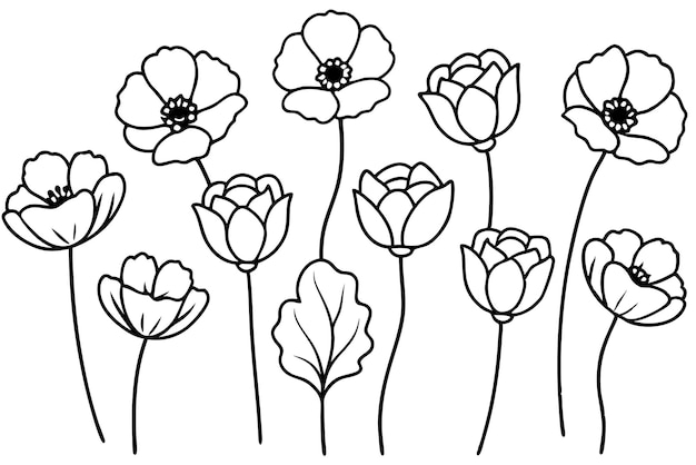 Arte de la línea de amapola