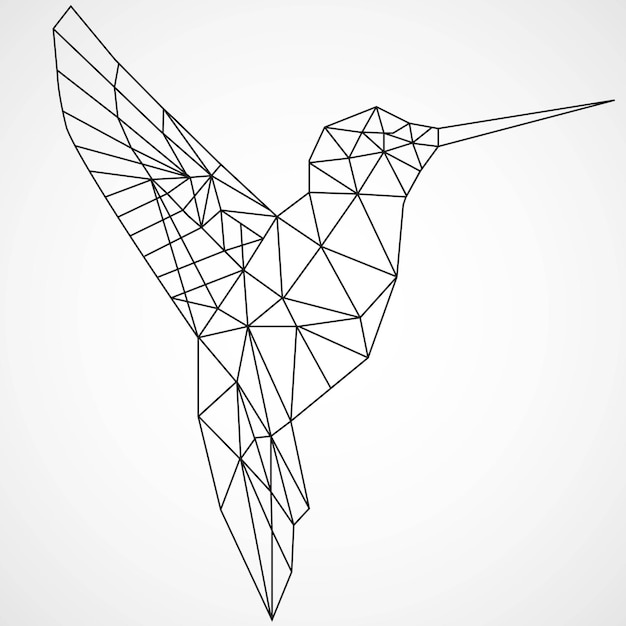 Vector arte de línea de aves