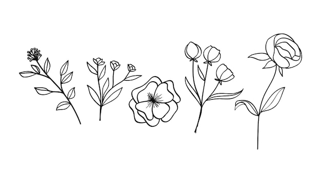 Arte de línea botánica con flores y hojas Vector de ilustración