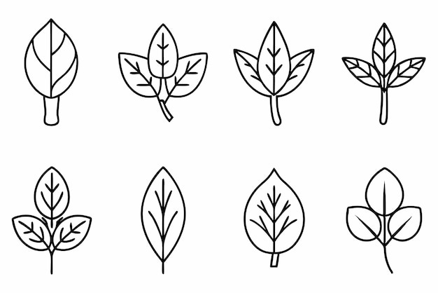Arte de línea de brotes de hojas ilustración de motivos naturales estéticos ecológicos