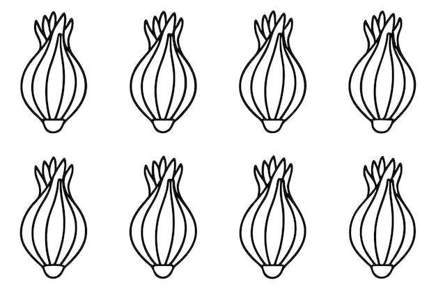 Arte de línea de bulbos de hinojo obra de arte botánica moderna