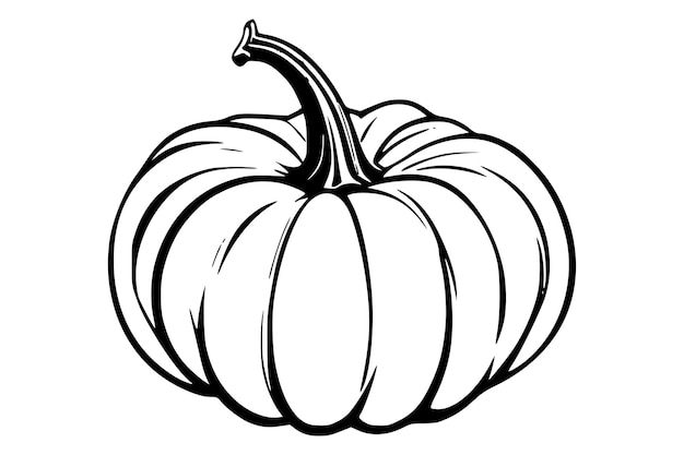 Arte de la línea de la calabaza garabates de calabaza y dibujos de contorno Una página para colorear Acción de Gracias