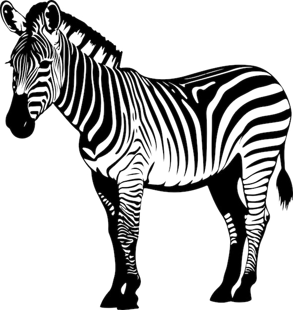 arte de línea de cebra arte vectorial