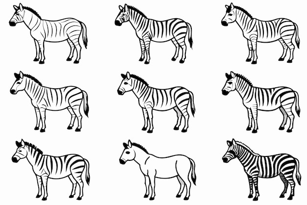 Arte de la línea de la cebra