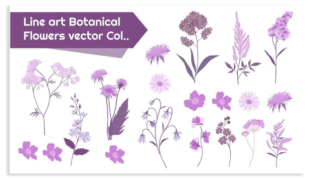 Arte de línea Colección vectorial de flores botánicas