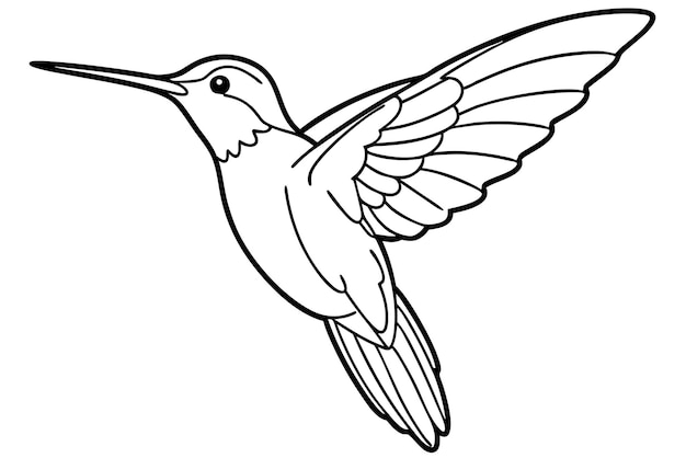 Arte de la línea del colibrí