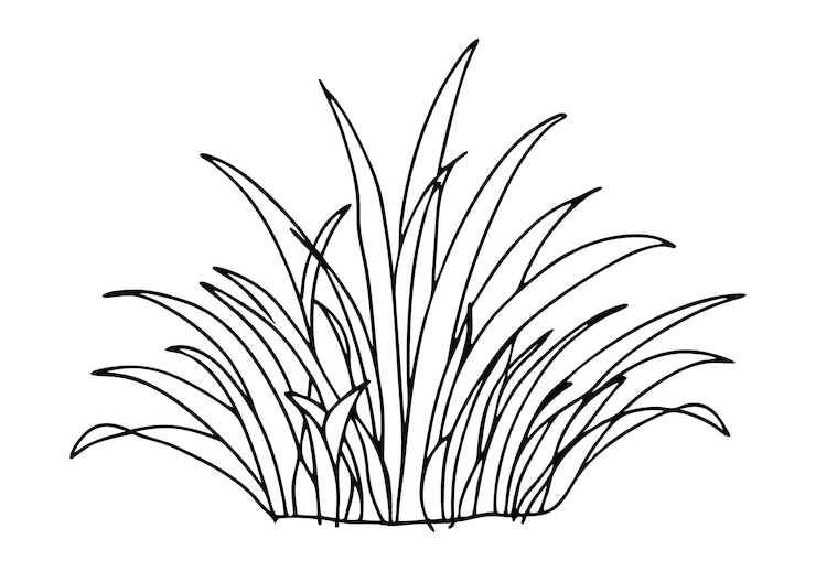 Vector arte de la línea continua de la hierba ilustración minimalista de la naturaleza