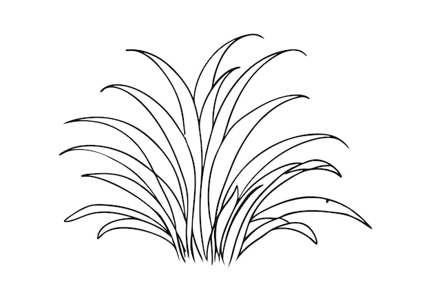 Arte de la línea continua de la hierba Ilustración minimalista de la naturaleza