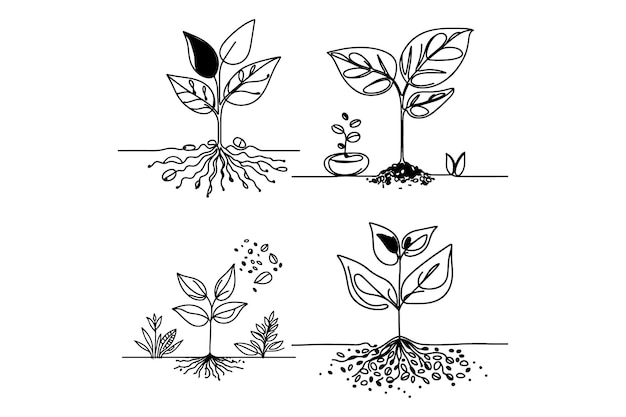 Arte de línea continua única de un brote en crecimiento con hojas de plantas semillas suelo y plántulas que representan un concepto de granja ecológica natural