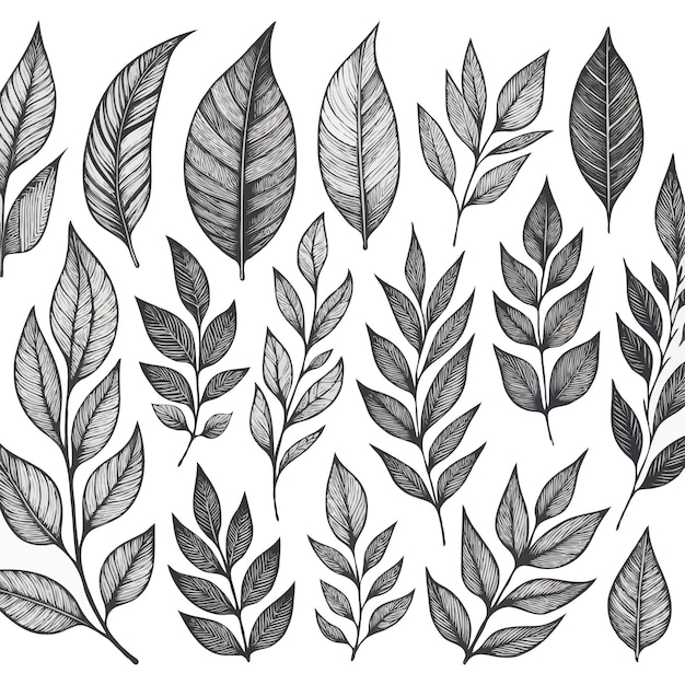 arte de línea de contorno negro dibujado a mano blanco hojas tropicales y ilustración floral moderna