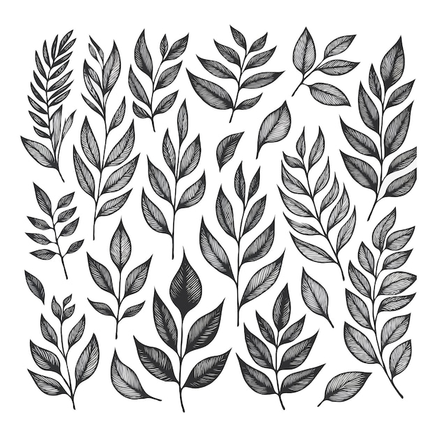 arte de línea de contorno negro dibujado a mano blanco hojas tropicales y ilustración floral moderna