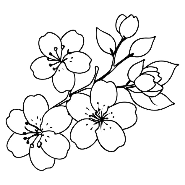 Arte de la línea de la flor de cerezo vector simple