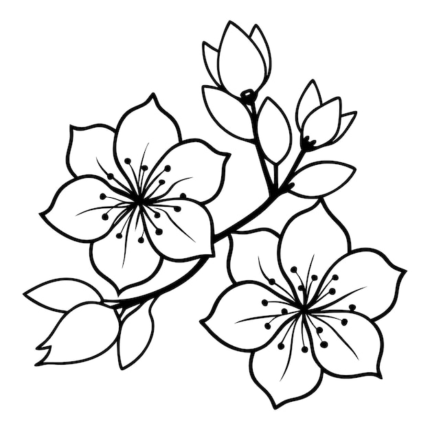 Arte de la línea de la flor de cerezo vector simple