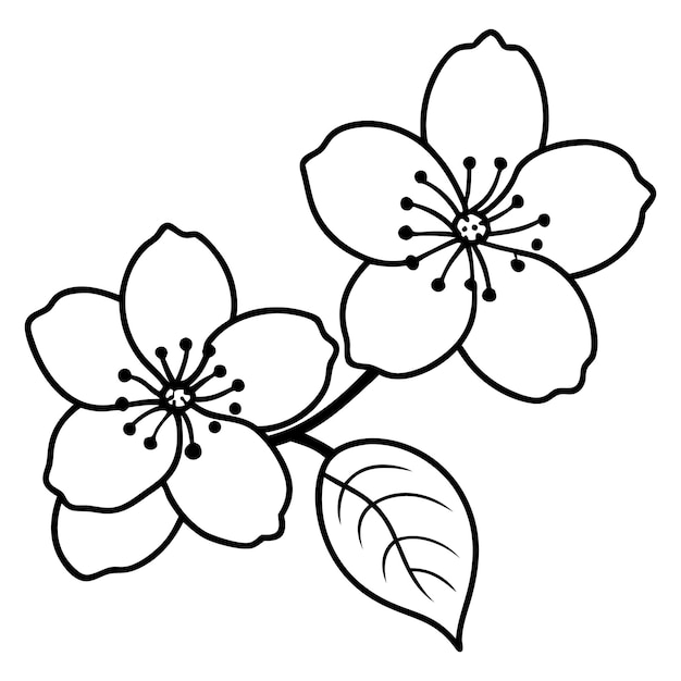 Arte de la línea de la flor de cerezo vector simple